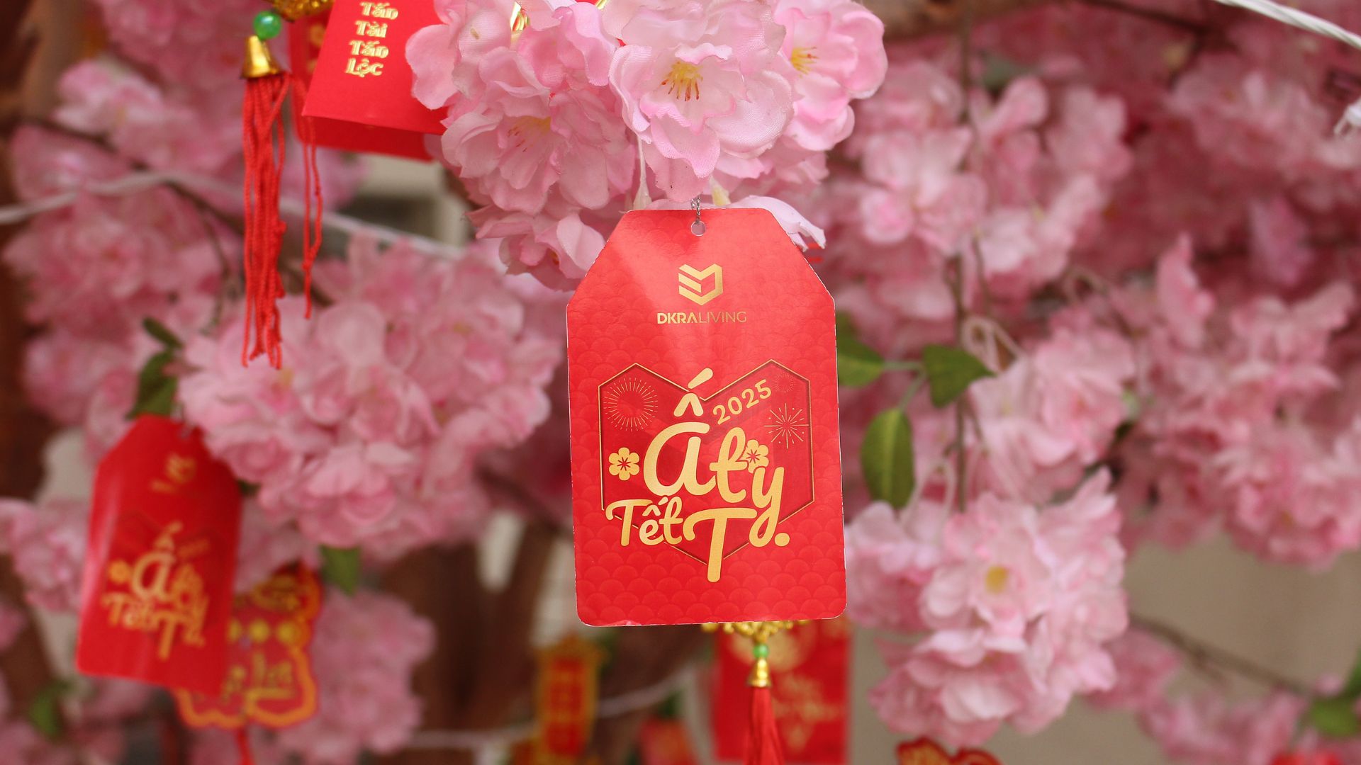 Rực rỡ sắc Xuân tại các dự án DKRA Living
